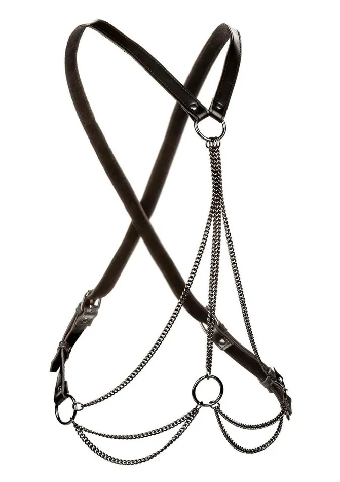Euphoria Collection Multi Chain Harness Euphoria Vibrators